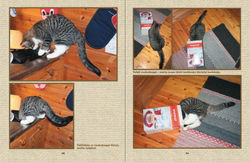 Minä olen Kitty Kissanpentu