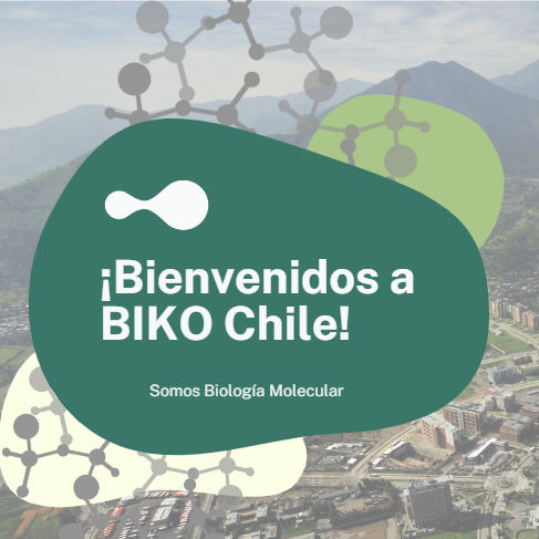 ¡Bienvenidos a Biko Chile!
