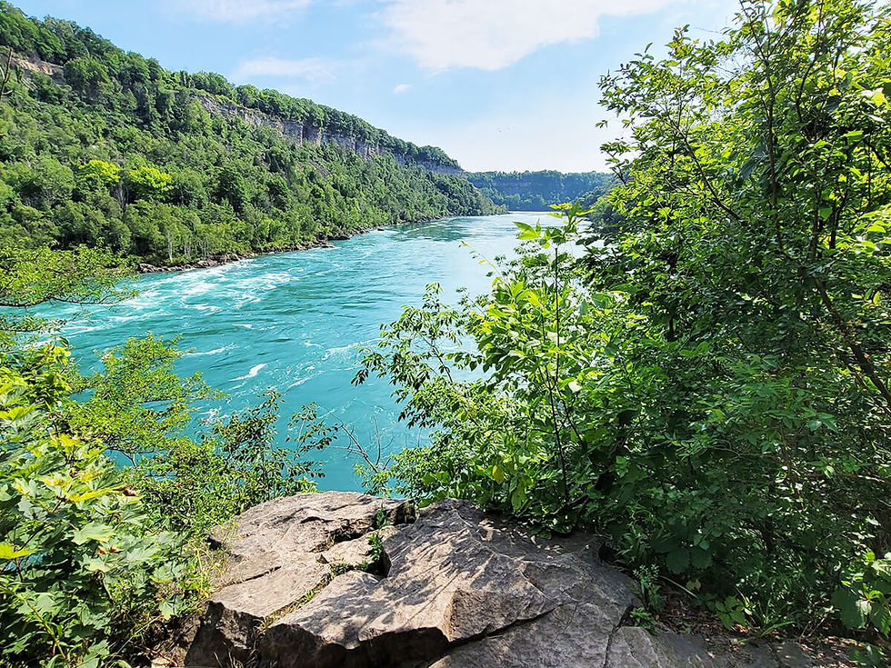 The "Old Town" vs. Virgil Divide