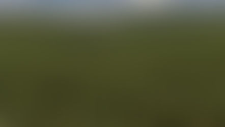 ALJ Türkiye Ağaçlandırma Seferberliği