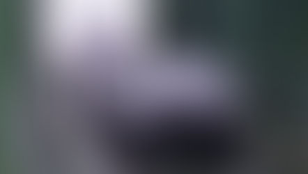 Chery Family Care Global Garanti