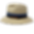 Thumbnail: Harvey Safari