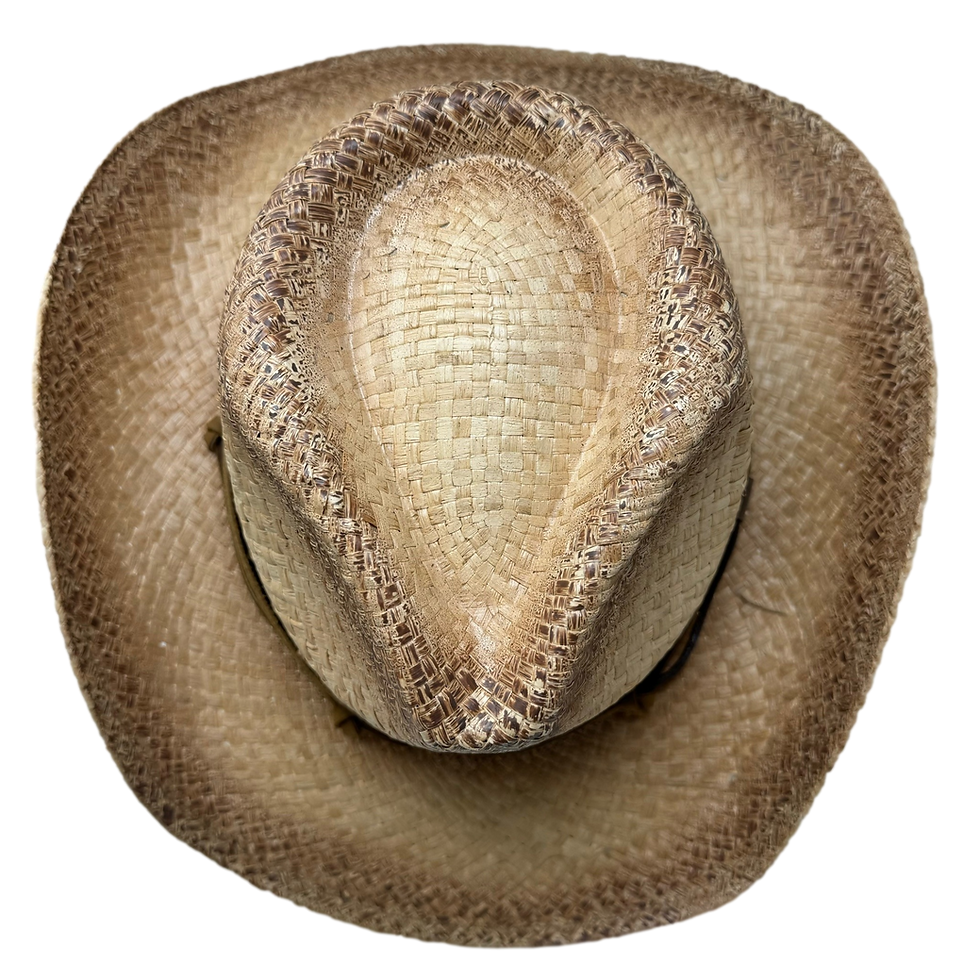 Thumbnail: Copperhead
