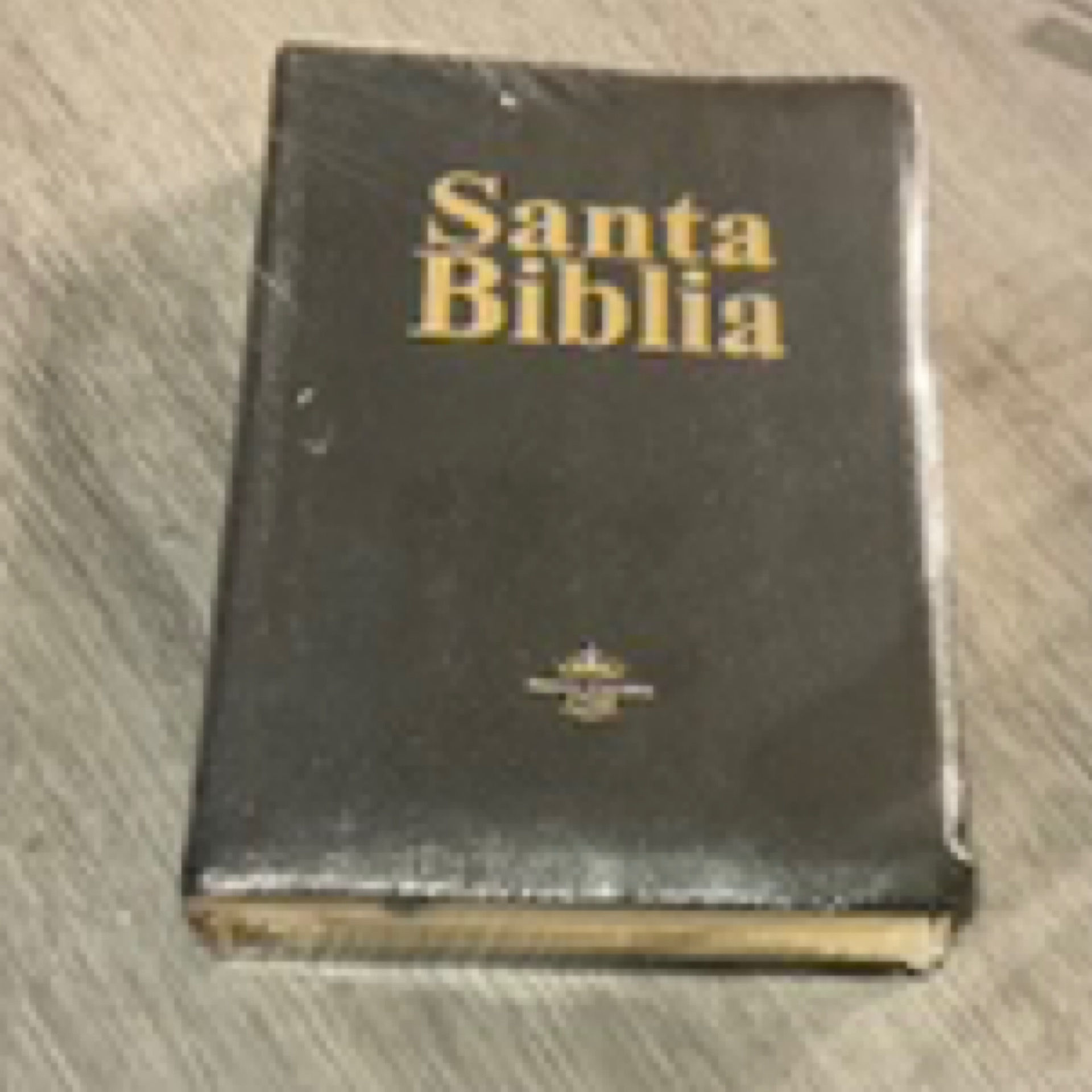 Santa Biblia Letra Grande