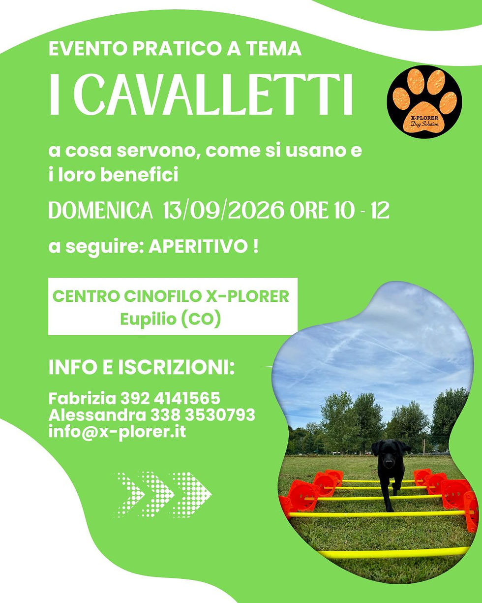 13/09/2026 EVENTO PRATICO A TEMA: I CAVALLETTI
