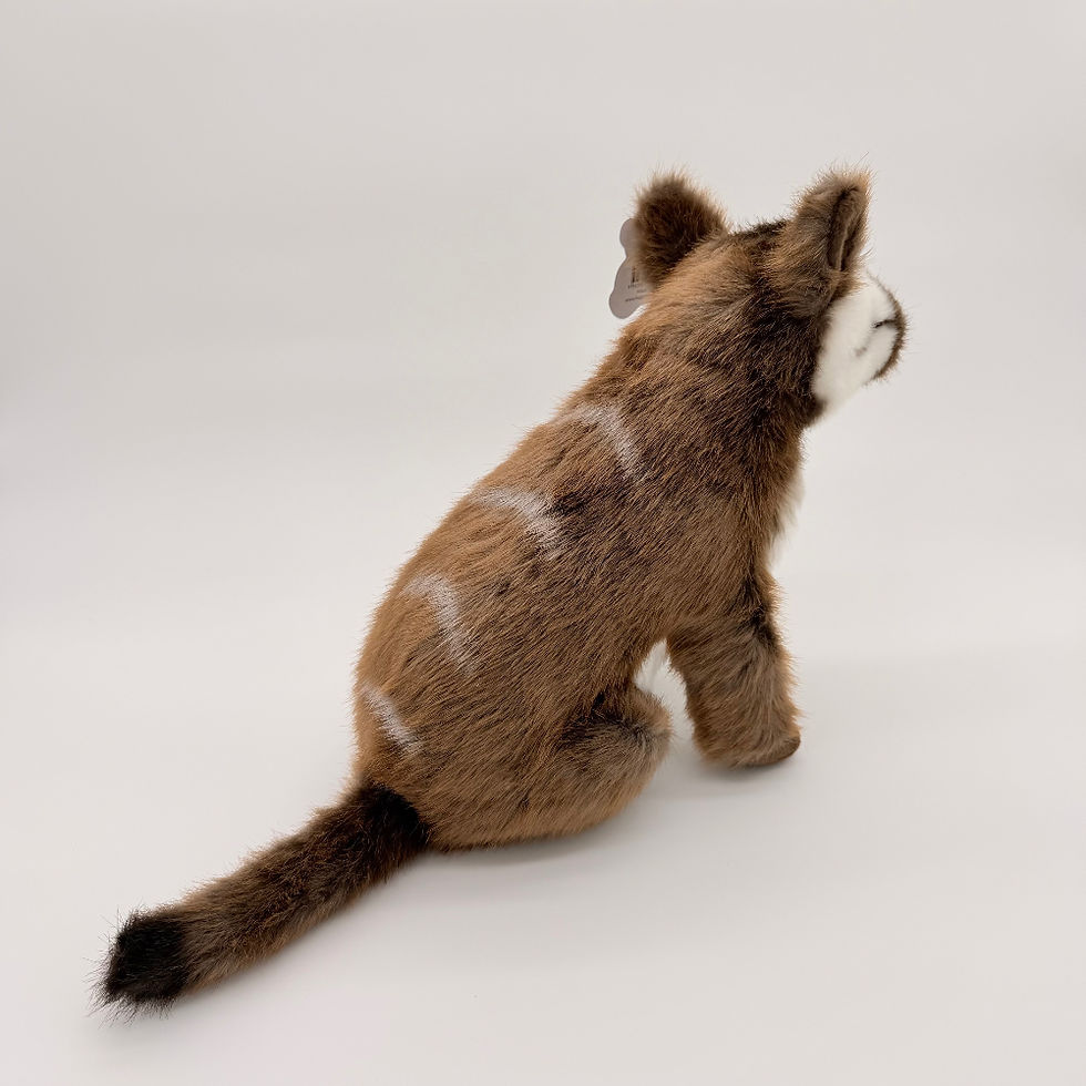 Back view Huggable Toys 40cm Numbat plush toy with soft two tone brown fur, white chest and eyes, white stripes on back