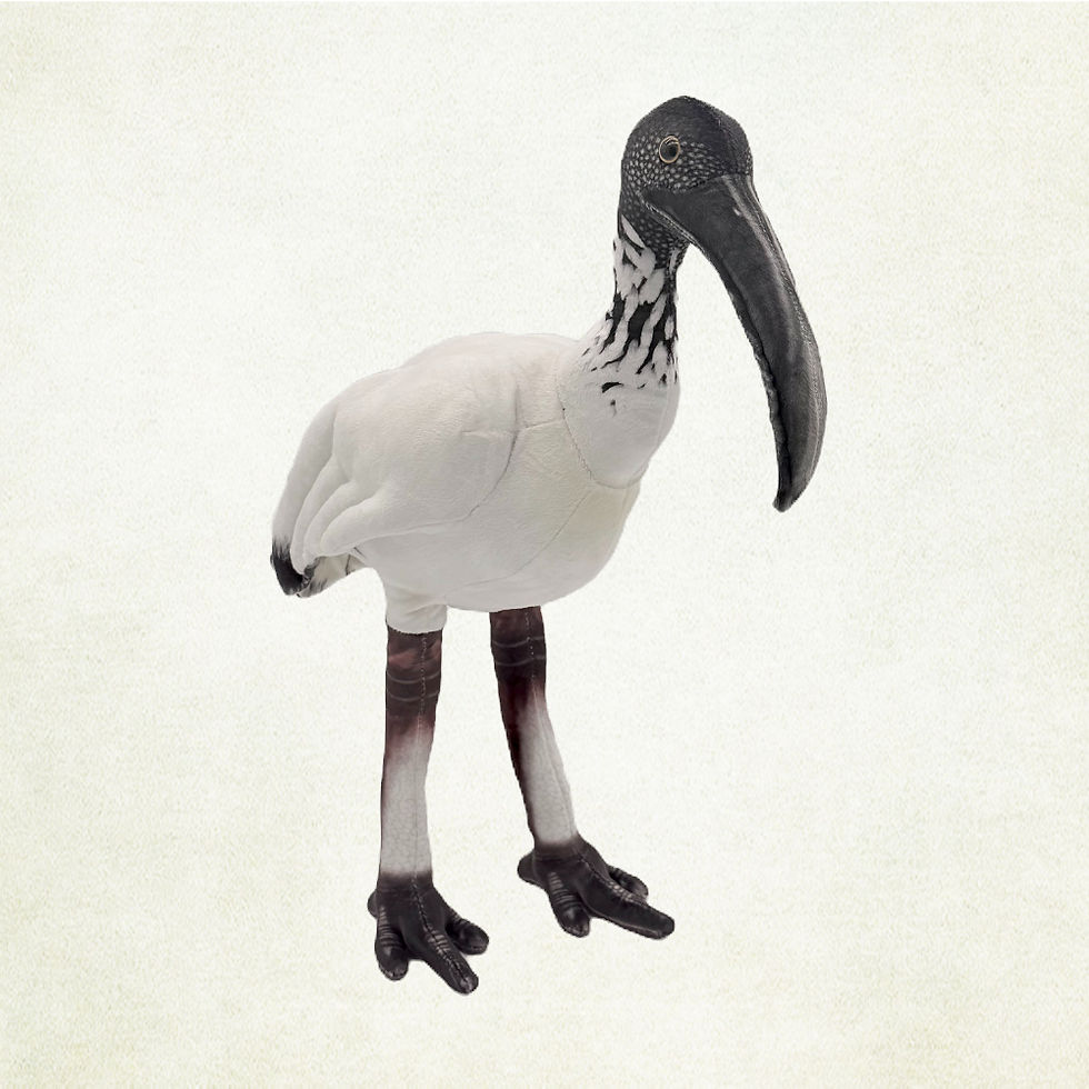 Opal the Ibis plush toy by Huggable Toys
