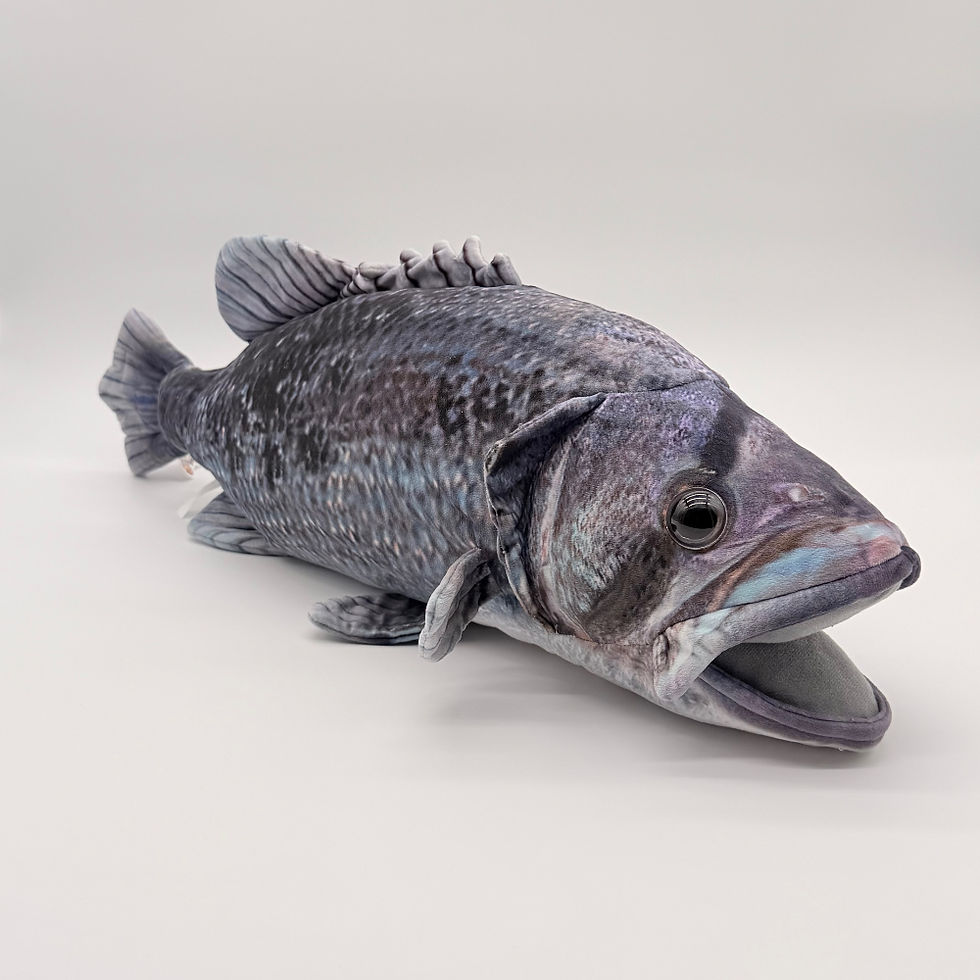 Front view Huggable Toys 60cm Dhufish plush toy with soft blue gray fabric striped markings, wide fins, and round stout body