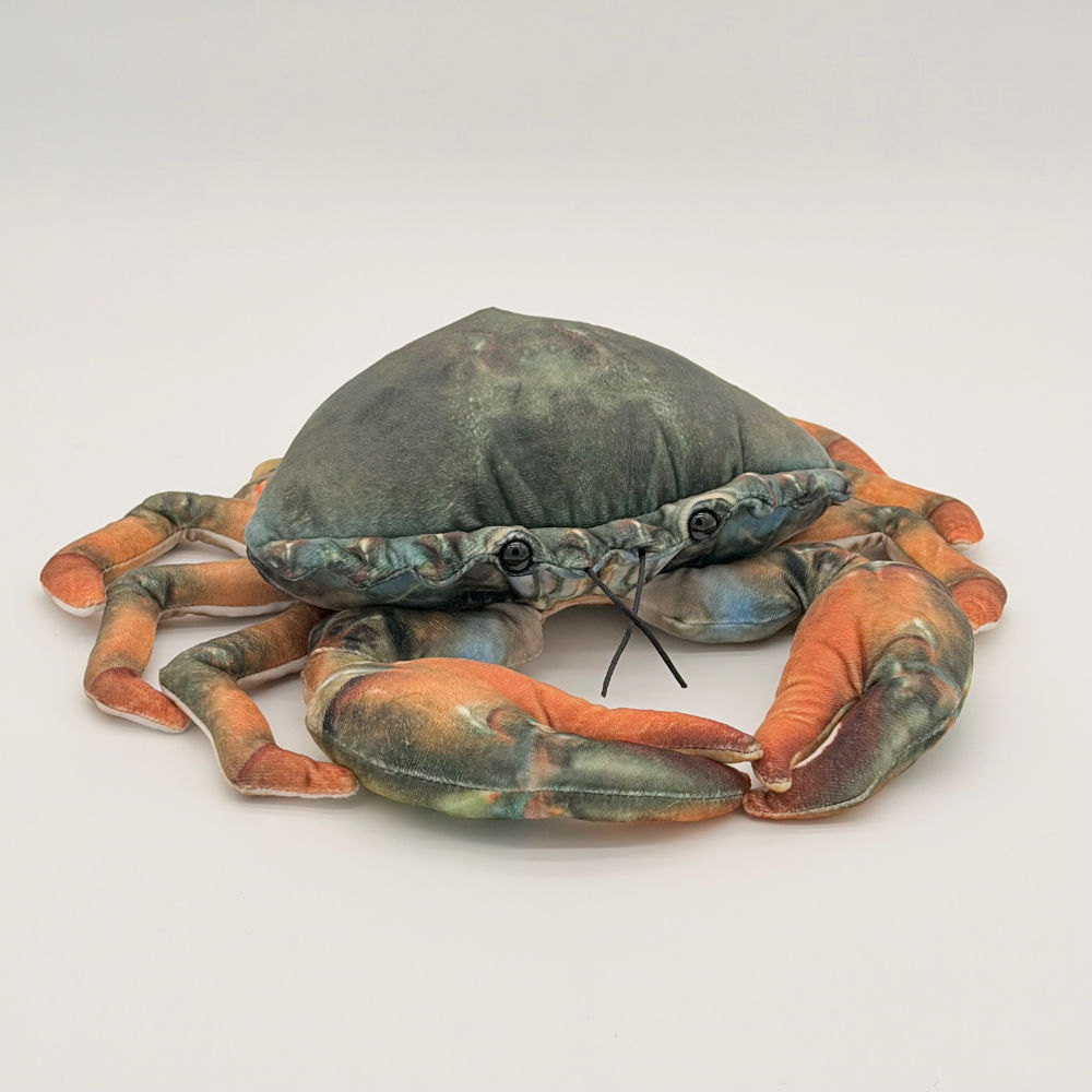 Front view Mason mud crab Huggable Toys with green blue and dark orange markings, soft velour fabric, and large cuddly claws.