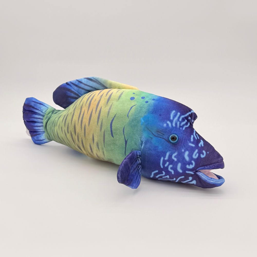 Front view Huggable Toys Wrasse Fish plush toy with soft vibrant coloured fabric of blues yellows with distinctive pattern