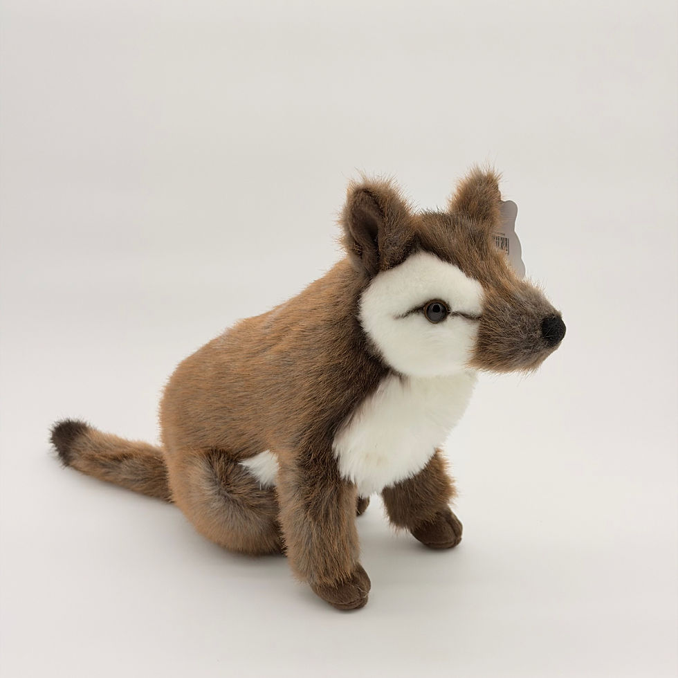 Front view Huggable Toys 40cm Numbat plush toy with soft two tone brown fur, white chest and eyes, white stripes on back