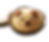 K5.ワンちゃん