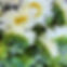 0276CA7A-2DFE-42EE-9FCE-14E6B6874A2D.JPG