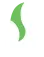 white-flame1.webp