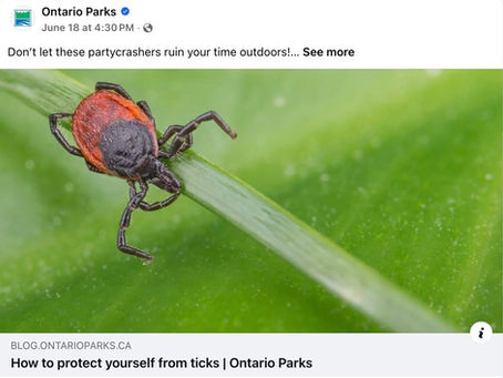 Tick Talk