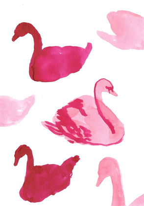 illustration of pink swans in watercolor