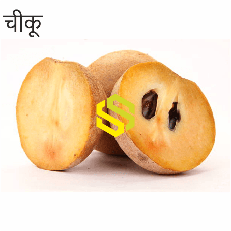 Sapota (चीकू)