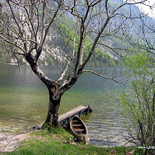 Paisible Vue sur le lac