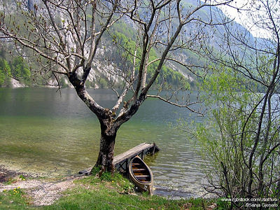 Peaceful Lake View
