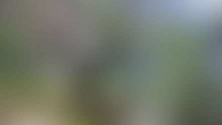 「大島渚論　大島映画の男性表象分析を通した作家性の再考」嶋田 萌