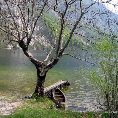 The Path Way to Peace