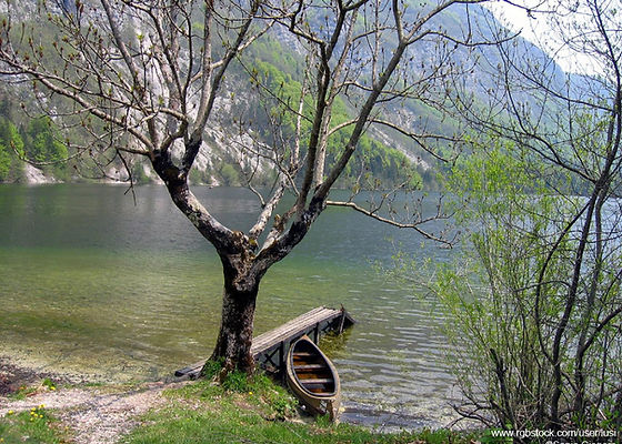 Peaceful Lake View