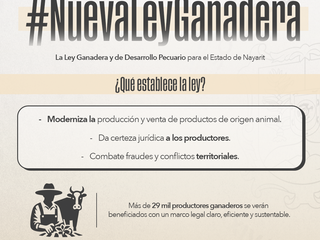 ¡Histórico para la ganadería en Nayarit!La nueva Ley Ganadera y de Desarrollo Pecuario impulsa la organización, frena los fraudes y da certeza a miles de productores.
