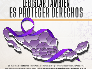 💜 Por ellas, justicia y protección