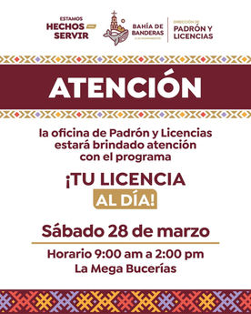 Padrón y Licencias ofrecerá atención hoy sábado con la jornada “Tu licencia al día”