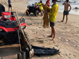 El Gobierno de Bahía de Bnaderas atiende hallazgo de lobo marino sin vida y actúa bajo protocolos ambientales
