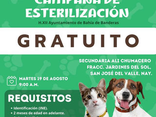 ARRANCARÁ CAMPAÑA DE ESTERILIZACIÓN GRATUITA EN BAHÍA DE BANDERAS