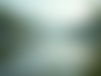 The Power of Mindfulness in Everyday Life