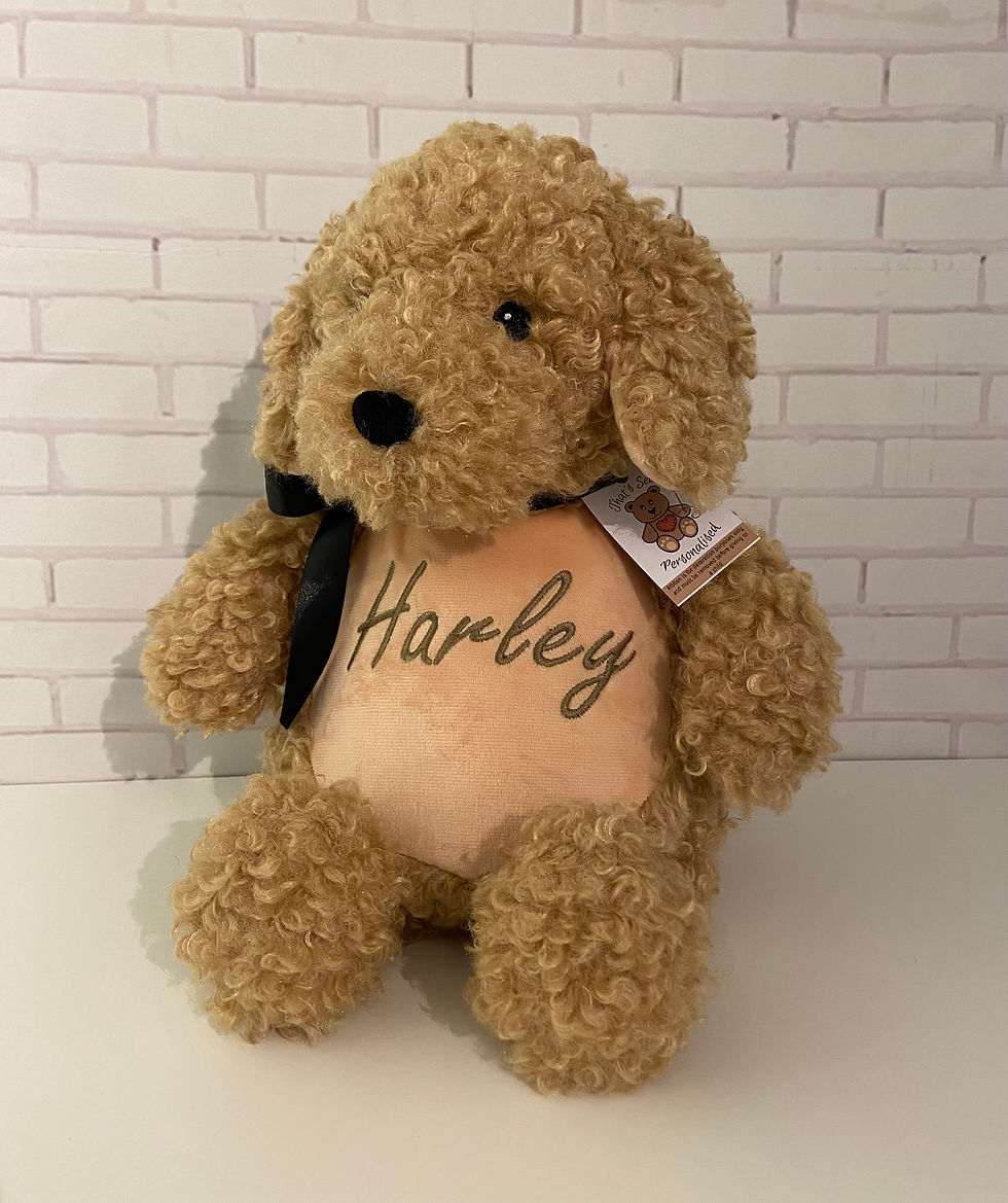 Thumbnail: Cubbies Labradoodle 