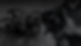 proaction06.png