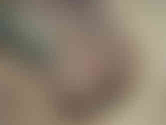 17. Mực lá (Sepia latimanus)