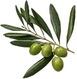 Olives_edited.png