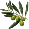 Olives_edited.png