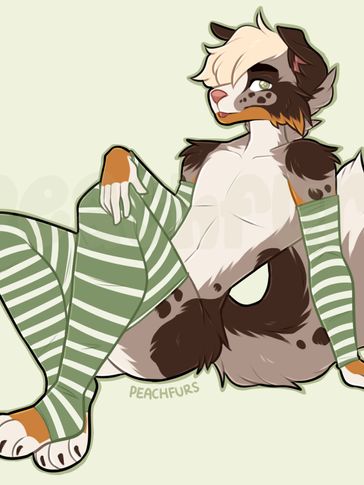 shepszning sock  wn.png