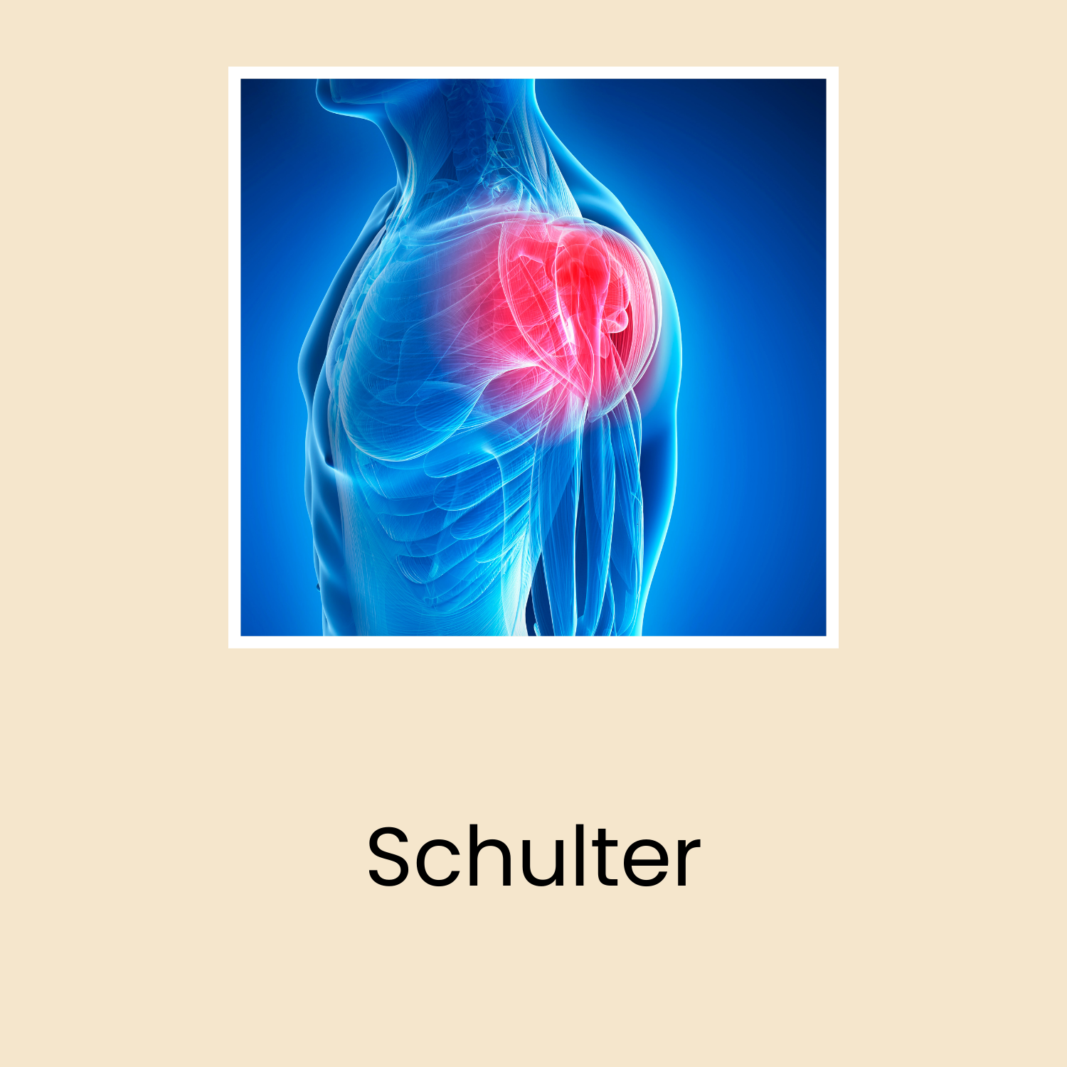 Schulter - Schmerzkompass
