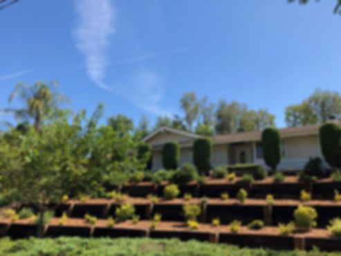 Landscaping in Los Angeles