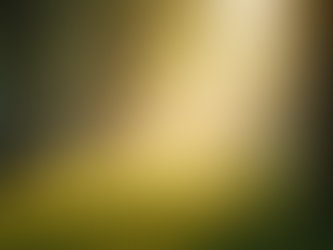 The Liberation of Letting Go: Discovering Freedom in Emotional Detachment