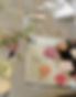 PureAnada_Factory_21-149_edited.jpg