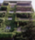 006_edited.jpg