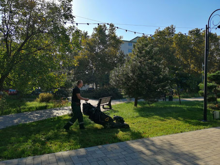 Приступили к покосу🌾. Требуются газонокосильщики!