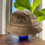 Thumbnail: Bagel Joint Bucket Hat