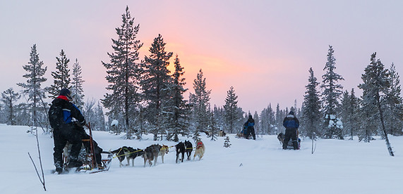 SE_Lapland_Icehotel_Dogsledding_AS_243028790_1440x720.jpg