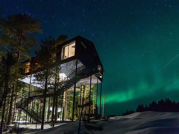 SE_TreeHotel_7th Room_1440x1080.jpg