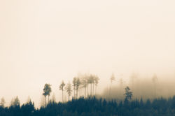 Philipp Schuster Photography