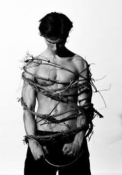 Philipp Schuster Photography