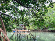 _Realrare Villas Back view1 copy.jpeg